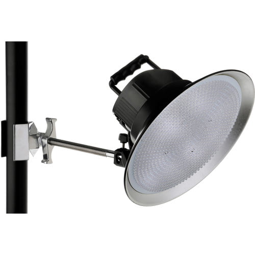 Cardellinis (6") - Image 3